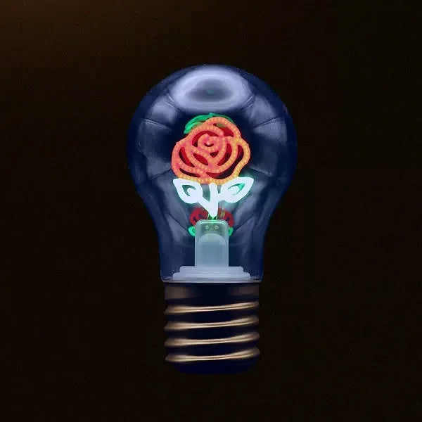 Edison A70 Rechargeable LED Decorative Bulb – Vintage Warm Light Type-C Portable Art Lamp